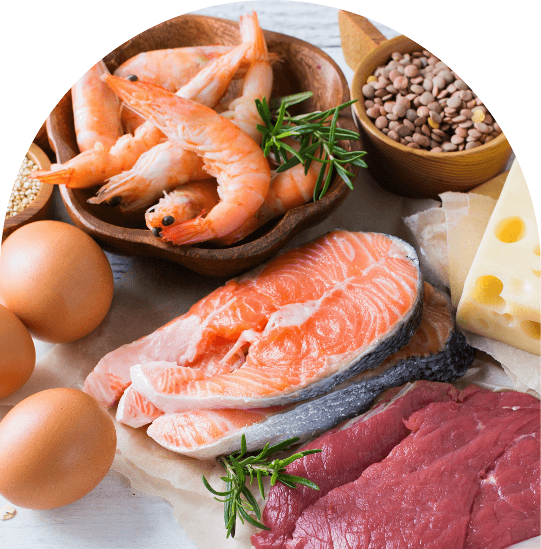 Protein